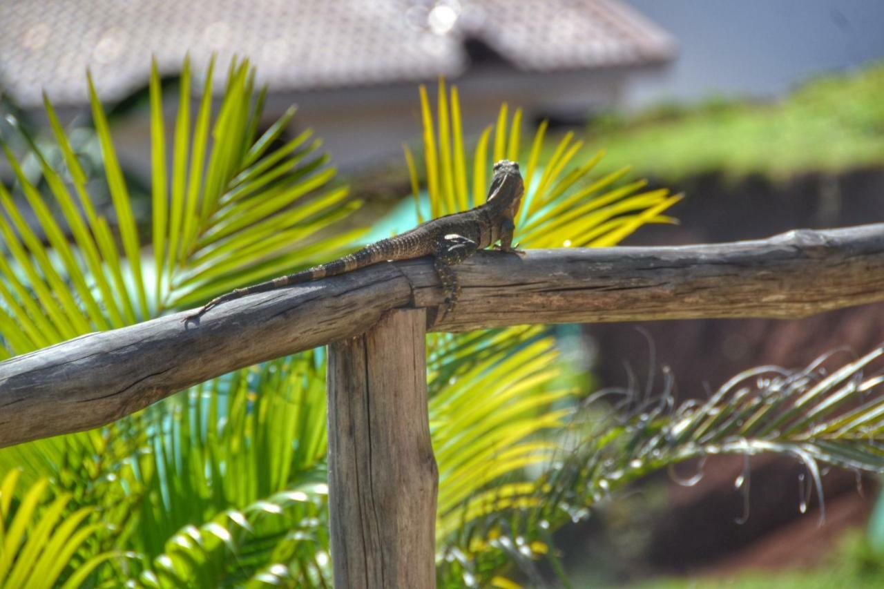 Playa Lagarto Eco Development Villa Paraíso Dış mekan fotoğraf